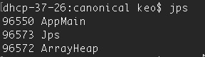 jps command output